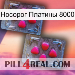 Носорог Платины 8000 14